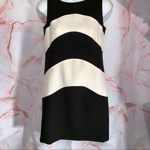 Ann Taylor black & white dress